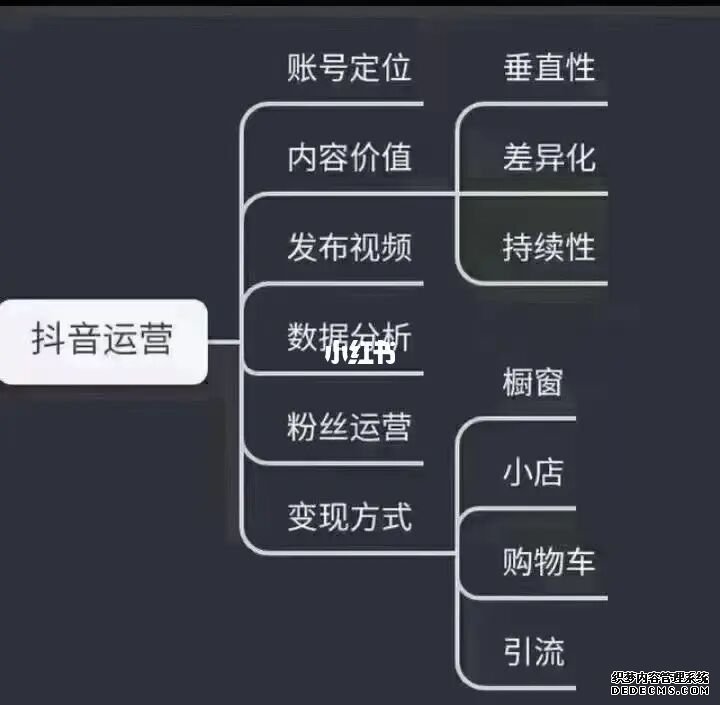 北京抖音代运营公司排名前十位是谁